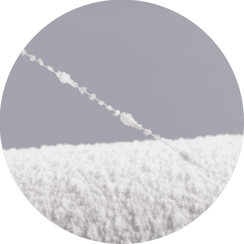 Filato di crisantemo